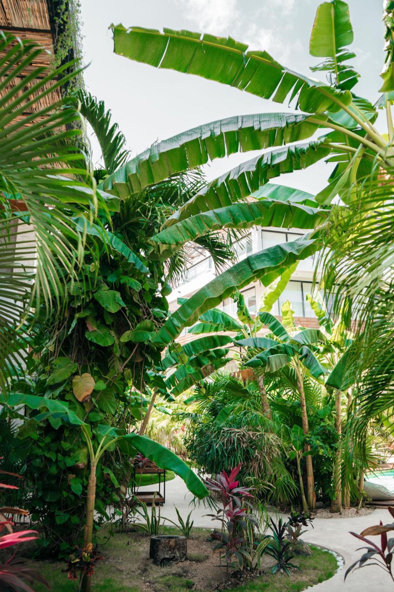 Kinah Retreat - Exclusive Boho Tropical Escape Tulum Exterior foto